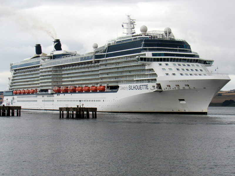 Celebrity Silhouette