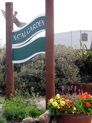 Natal Garden